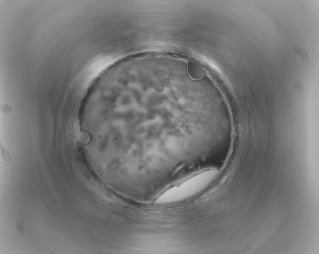 X0000091341267200708101437