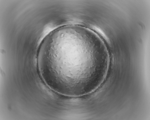 X0000091341268200708101437