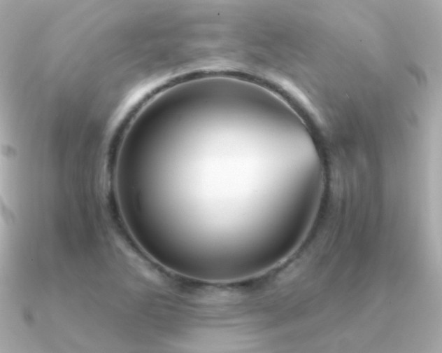 X0000091341270200708101437