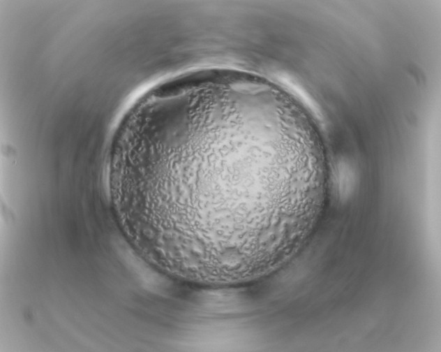 X0000091341272200708101437
