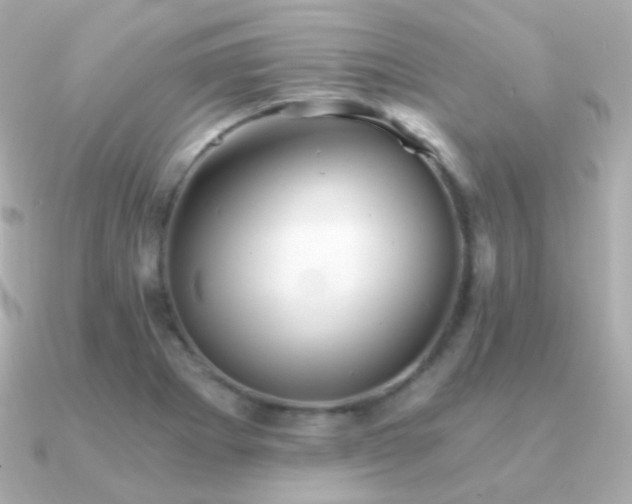 X0000091341273200708101437
