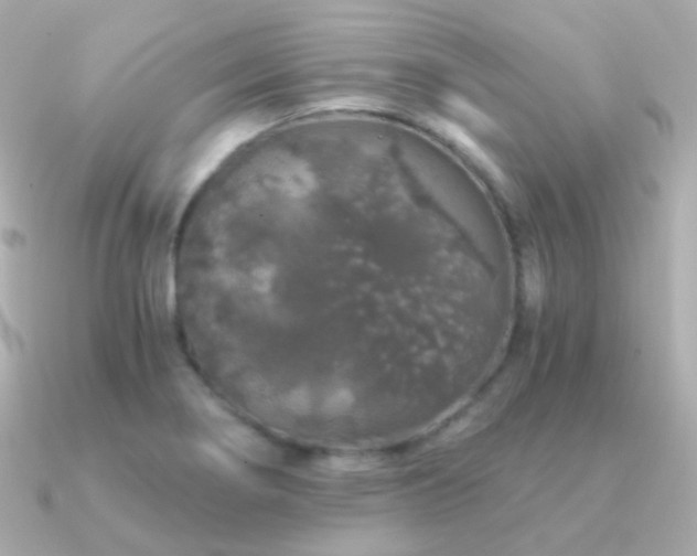 X0000091341274200708101437
