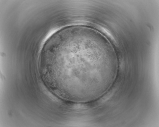 X0000091341275200708101437
