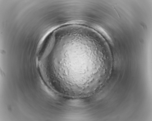 X0000091341276200708101437