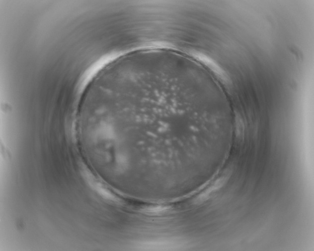 X0000091341278200708101437