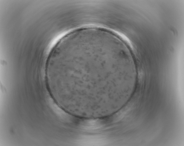 X0000091341279200708101437