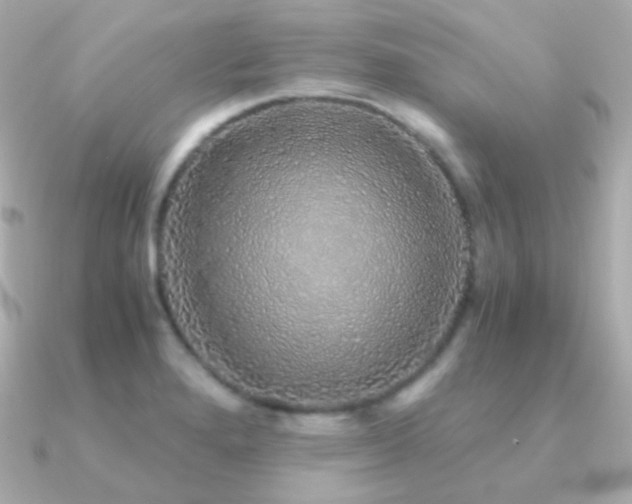 X0000091341280200708101437