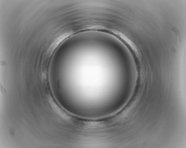 X0000091341281200708101437