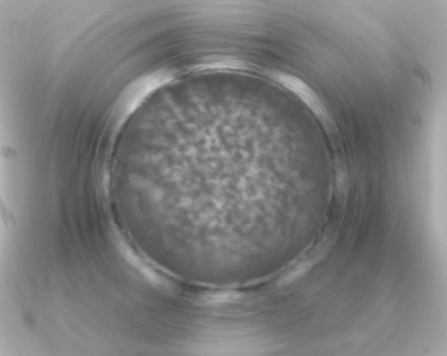X0000091341282200708101437