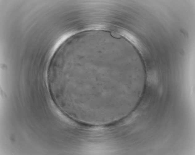 X0000091341283200708101437