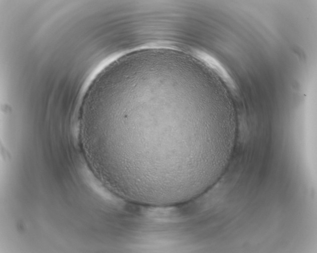 X0000091341284200708101437