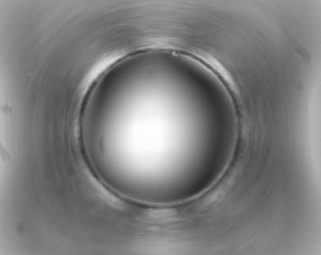 X0000091341285200708101437
