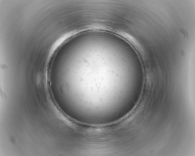 X0000091341286200708101437