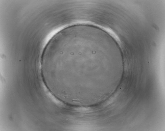 X0000091341287200708101437