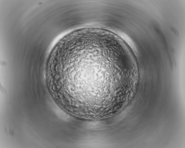 X0000091341288200708101437