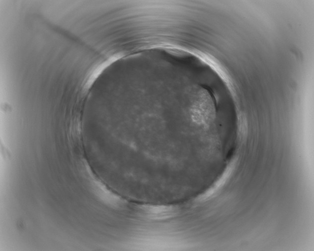 X0000091341289200708101437