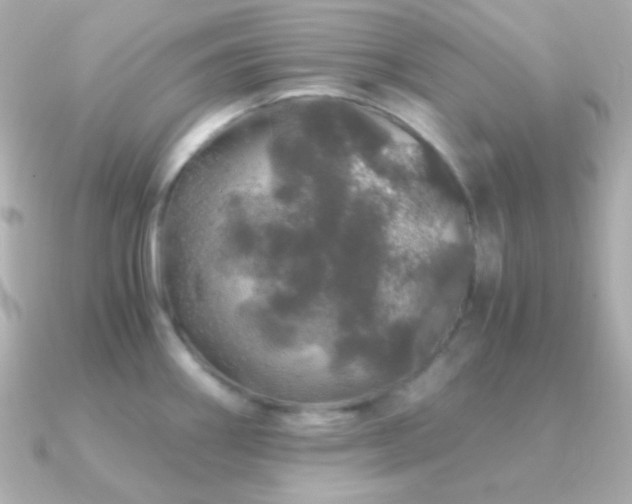 X0000091341290200708101437
