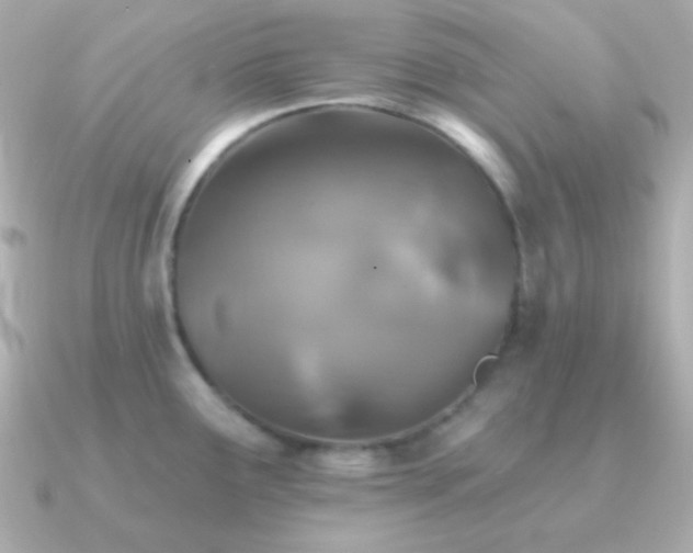 X0000091341291200708101437