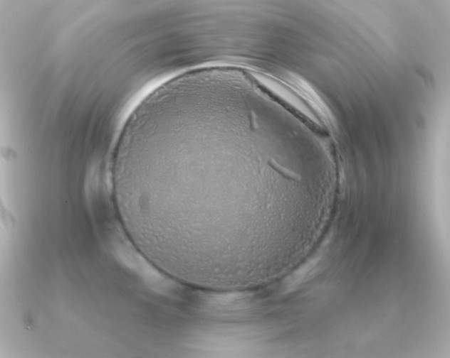 X0000091341292200708101437