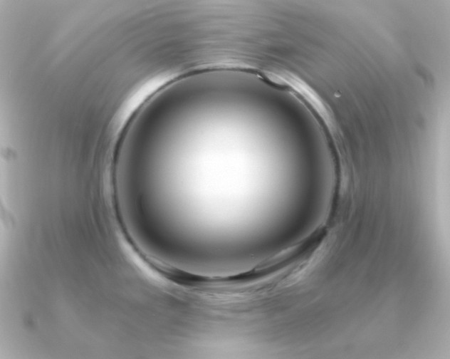 X0000091341293200708101437