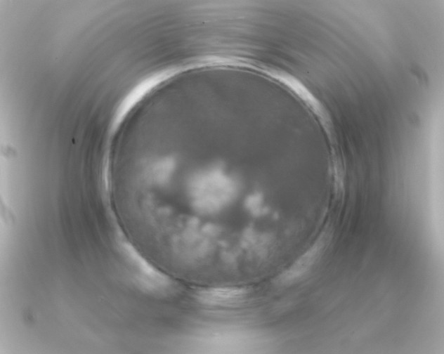 X0000091341294200708101437