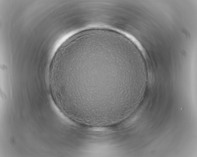X0000091341295200708101437