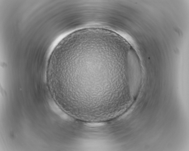 X0000091341296200708101437