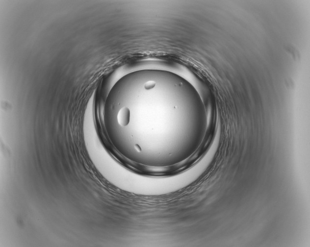 X0000091341298200708101436