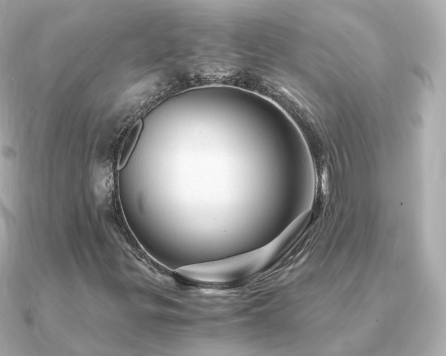 X0000091341299200708101436