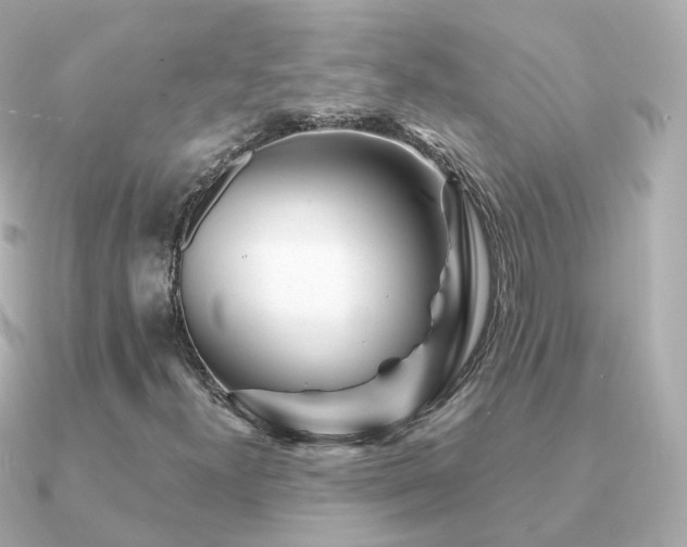 X0000091341300200708101436