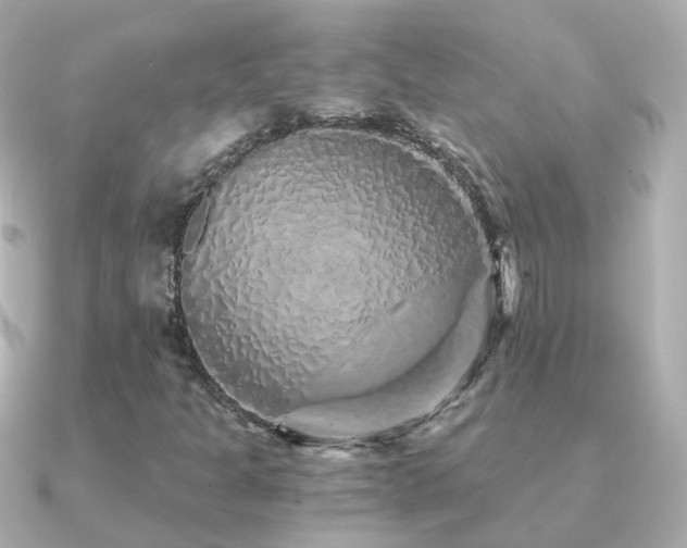 X0000091341301200708101436