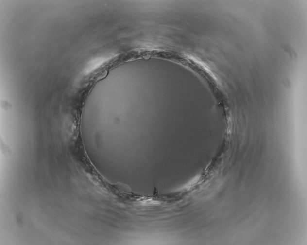 X0000091341303200708101436