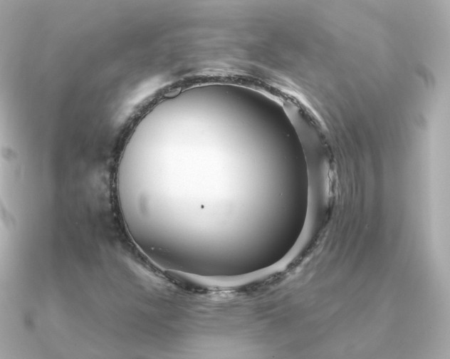 X0000091341304200708101436