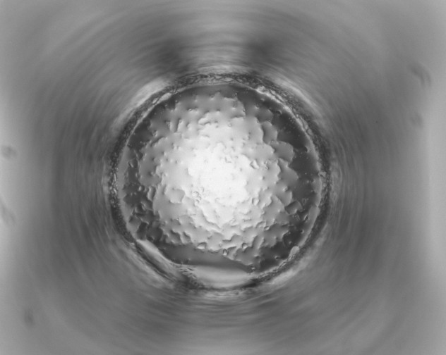 X0000091341305200708101436