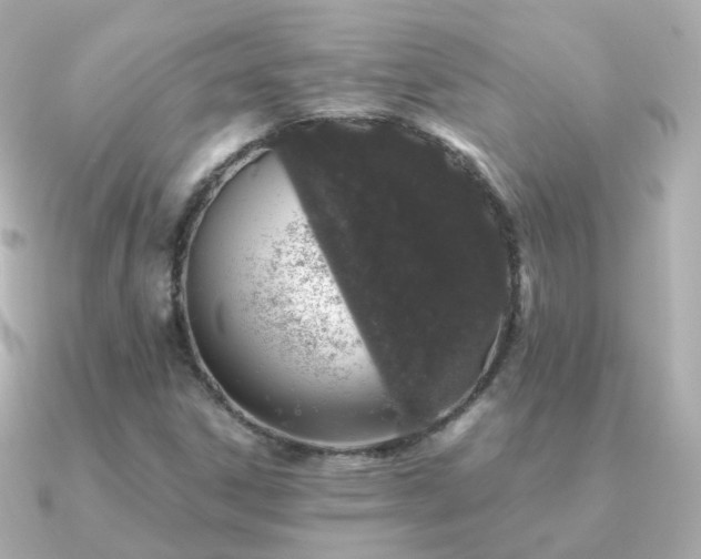 X0000091341306200708101436