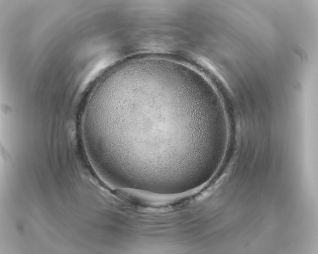 X0000091341307200708101436