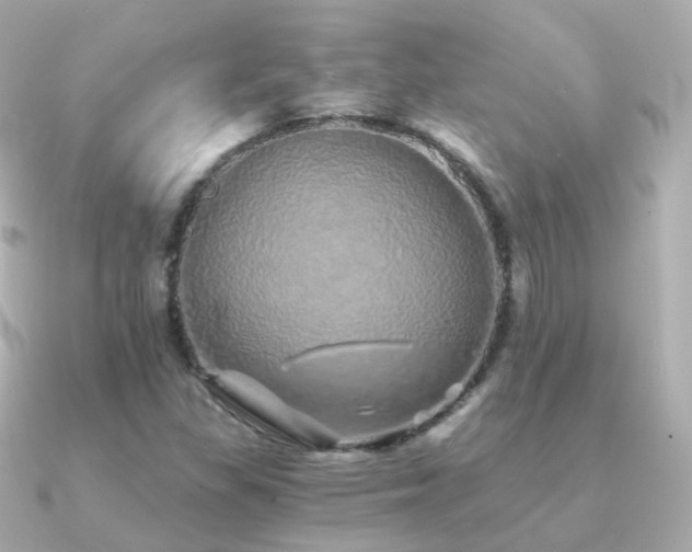 X0000091341309200708101436