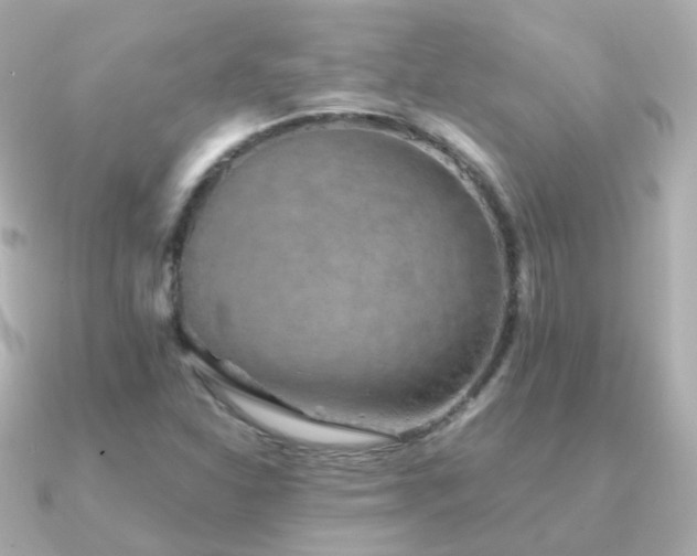 X0000091341310200708101436