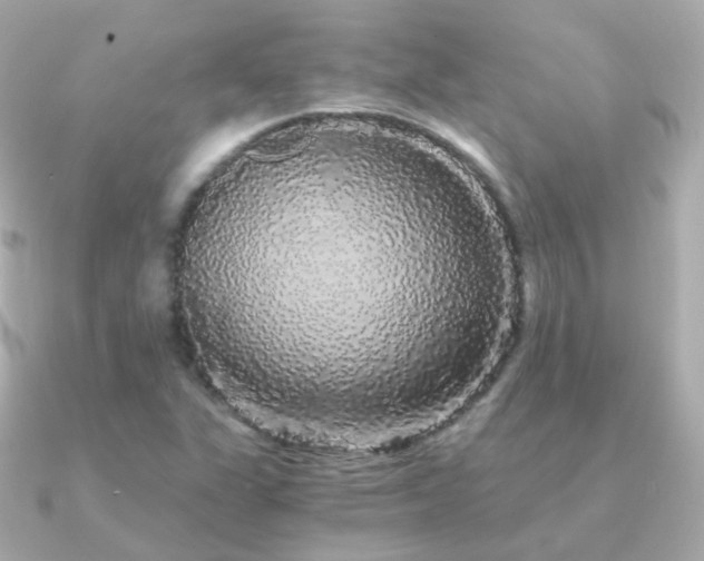 X0000091341311200708101436