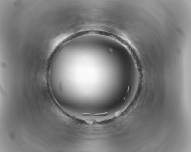 X0000091341312200708101436