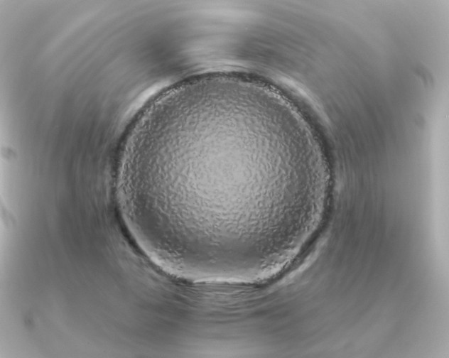 X0000091341313200708101436