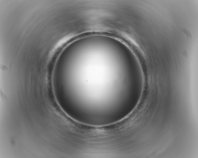 X0000091341315200708101436