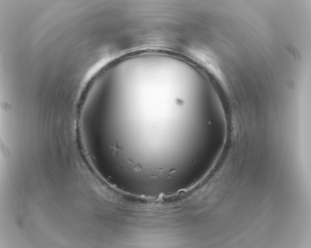 X0000091341316200708101436