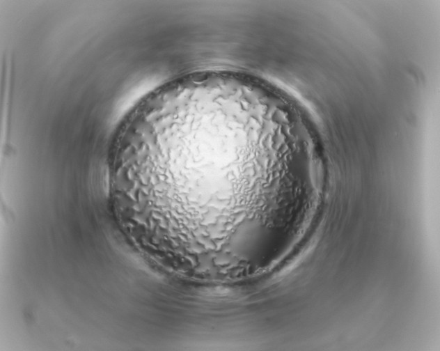 X0000091341317200708101436