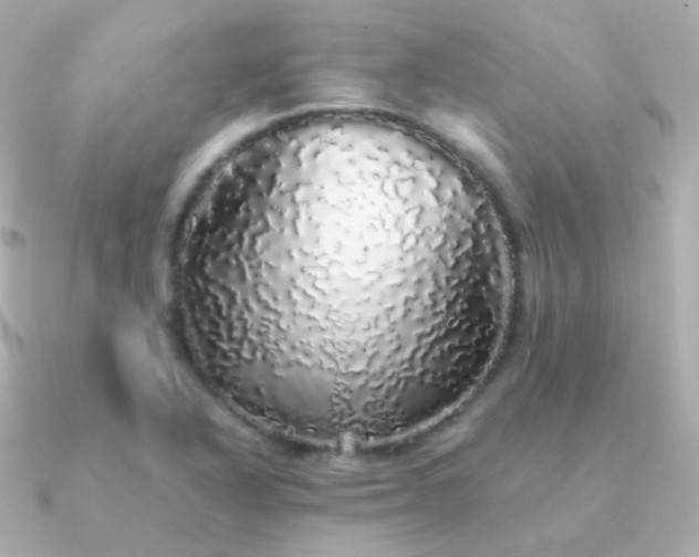 X0000091341318200708101436