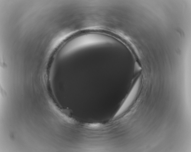 X0000091341319200708101436