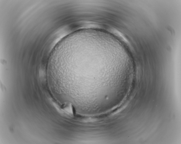 X0000091341321200708101436