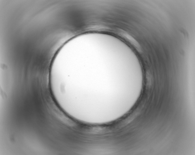 X0000091341322200708101436