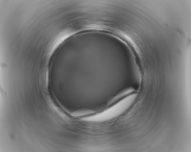 X0000091341323200708101436