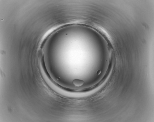 X0000091341324200708101437